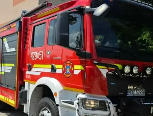 Lidzbark: strażacy usuwali gniazdo owadów błonkoskrzydłych przy ul. Akacjowej