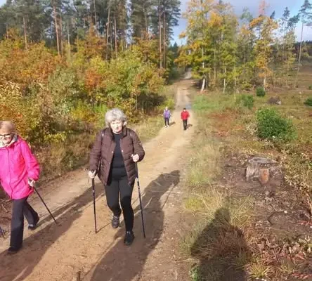 Seniorzy z Iłowa-Osady spacerują z kijkami. Nordic walking nad Zalewem Ruda