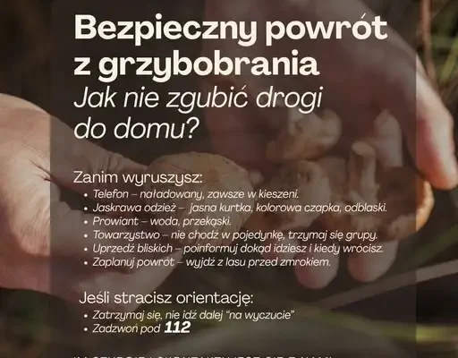 Sezon grzybowy w pełni – policja apeluje o rozwagę i przypomina zasady bezpieczeństwa